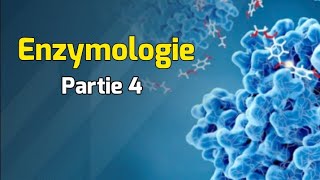 Cinétique enzymatique Michaelienne  Cours Enzymologie partie 4 [upl. by Letnohc139]