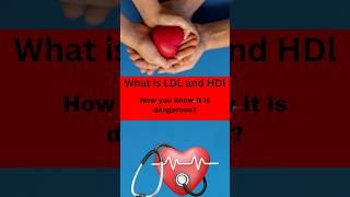 IS High LDL Cholesterol Quietly Killing You What is LDL and HDL highcholesterol triglycerides [upl. by Sontich]