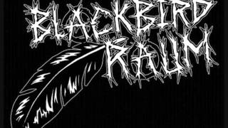 Blackbird Raum  Cities [upl. by Nail]