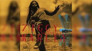 Shalom Salaam  Ziggy Marley  DRAGONFLY [upl. by Barthel]