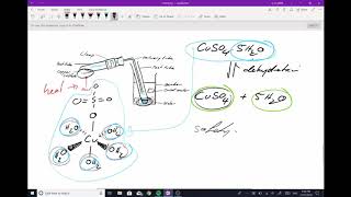 Dehydration of Copper Sulfate Pentahydrate [upl. by Barstow627]