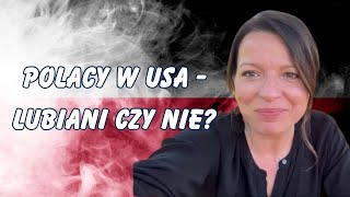 POLACY SĄ NIELUBIANI  ŻYCIE W USA  polacy usa vlog [upl. by Eilyw880]