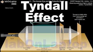 NCERT Class 10th Activity 113  Tyndall Effect  labOnLaptop  VirtualLab [upl. by Orth]