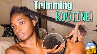 TRIMMING and MOISTURIZING Routine On My Natural Hair [upl. by Colfin]