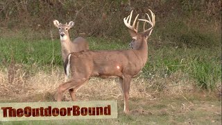 AWESOME HEART SHOTRavin Crossbow vs Whitetail Buck [upl. by Idalina698]