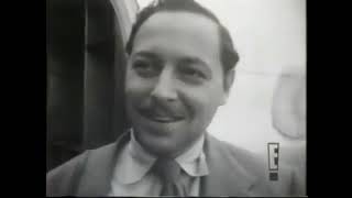 Mysteries amp Scandals  Episode Tennessee Williams [upl. by Laktasic252]