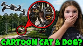 Drone Catches Cartoon Cat and Dog [upl. by Ruffina442]