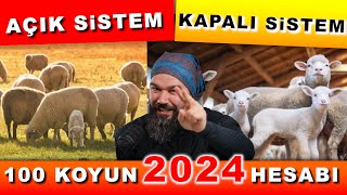 100 KOYUN ALINIR MI  2024 Koyunculuk [upl. by Sayed983]