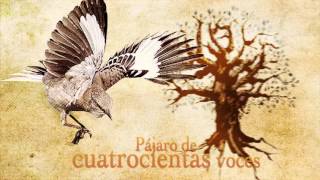 NEZAHUALCOYOTL poema [upl. by Eentruok]