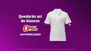 Nuevo detergente Opal Antipercudido [upl. by Elokcin704]