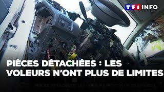 Enquête  Pièces détachées  les voleurs n’ont plus de limites｜TF1 INFO [upl. by Mcevoy]