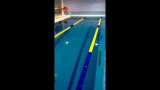 Como Ozonizar tu piscina claves para el Tratamiento de Agua de Piscina con Ozono [upl. by Lloyd]