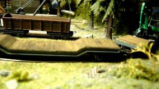 H0e Feldbahn mit Roco Diesellok Digital [upl. by Viquelia]