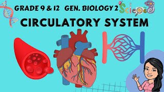 Circulatory System  Grade 9 Science 1st Quarter Grade 12 Gen Biology 2 Tagalog [upl. by Alicea]