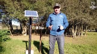 Saiba como construir o aterramento para o eletrificador Solar [upl. by Monia]