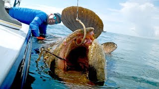 Caught a Monster Grouper that Weighed MORE than the BOAT [upl. by Ahsinwad]