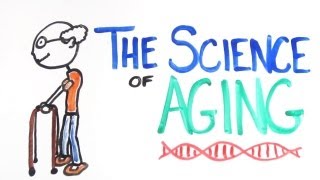 The Science of Aging [upl. by Lerraf972]