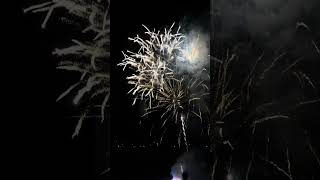 FireWork at Niagara Falls  trendingshorts fall fire fireworks shorts [upl. by Einahc237]