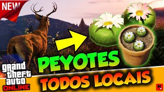 UBICACIÓN DE LOS 76 PEYOTES EN ORDEN 380000RP GTA V ONLINE [upl. by Etnomaj491]