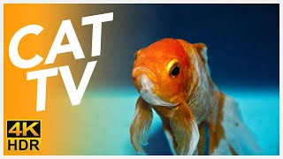 TV FOR CATS 📺  20 Hour Underwater Swimming  Fish Video for Cats in 4K [upl. by Shep]