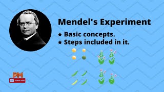 Mendels experiment  Basic concepts  steps of experiment  genetics  PM Biology [upl. by Pournaras]