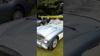 A 1955 AUSTIN HEALEY EXHIBITED AT NEWBY HALL HISTORIC VEHICLE RALLY IN 2O24 [upl. by Omer174]