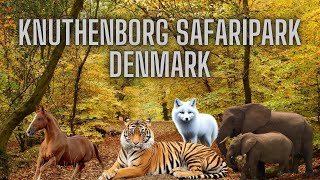 Knuthenborg Safaripark Denmark [upl. by Nyladnohr886]