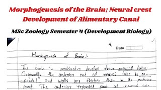 Morphogenesis of Brain  Development of gastrointestinal Tract development [upl. by Karna526]