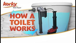 How a Toilet Works  Anatomy of a Toilet [upl. by Ahael]