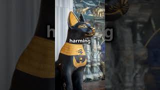 Why Were Cats Worshiped in Ancient Egypt 🐱shorts history cat [upl. by Ahs]