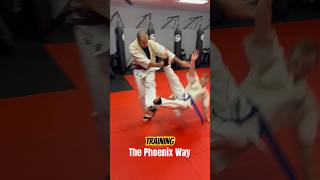 Kyokushin Karate Training Sweep the Leg The Phoenix Way karate shorts short martialarts osu [upl. by Shrier]