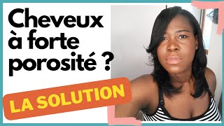 Comment Prendre Soin Des cheveux à Forte Porosité  Soins Huiles  astuces [upl. by Yeltnarb68]