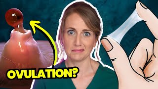 Doctor Answers Top 5 Ovulation Questions  Are you even ovulating [upl. by Snodgrass]