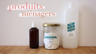 DIY 3 produits ménagers pour les toilettes [upl. by Acinomahs684]