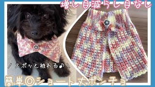 【100均毛糸２玉】ネックウォーマーと同じ編み方で犬用のポンチョを編みました【リボン飾りはヘアアクセにもオススメです】 [upl. by Velasco534]