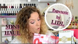 ♦  MINI HAUL  ♦ Papeterie by LIDL [upl. by Mandy]