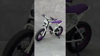 This New Ebike Is Ridiculous [upl. by Kayne]