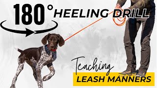 Great Drill To Teach Puppies Leash Manners  Intro To Heeling [upl. by Dralliw]