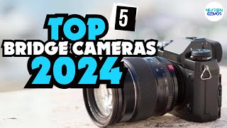 ✅Top 5 Bridge Cameras 2024 ✅ Watch This Before You Buy [upl. by Erodavlas]