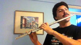 Flute  JS Bach quotGavottequot [upl. by Ahseenak]