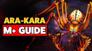 COMPLETE Guide to AraKara in Mythic TWW Season 1 [upl. by Naam]