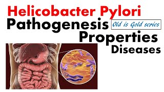 Helicobacter pylori microbiology  Pathogenesis disease treatment diagnosis  peptic ulcer [upl. by Alahsal402]