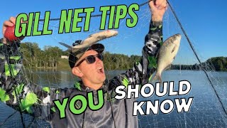 How to use a Gill Net for Fishing Bait [upl. by Stannwood]