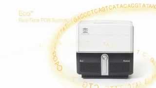 Illuminas Eco RealTime PCR System [upl. by Burgwell]