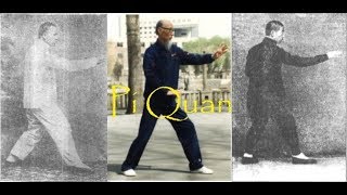 Pi Quan Xingyi Quan Fighting Techniques Vol 3 [upl. by Ilah]