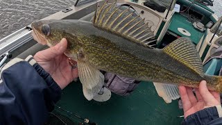 Walleye opener 2024 RAINY RIVER [upl. by Aicelet]