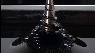 Ferrofluid  Magnetic  Lava Lamp [upl. by Atteuqahs793]