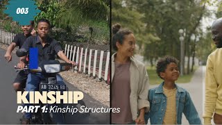 Kinship  Part 1 Kinship Structures [upl. by Gurl329]