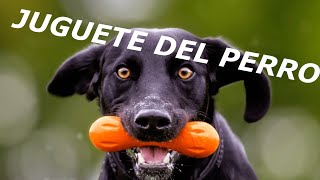 JUGUETE DEL PERRO Sonidos de juguete para perros Efectos de Sonido Squeaky Dog Toy Sound [upl. by Iuq]