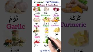 Vegetables names اسماء الخضروات english arabic learnenglish education vegetables vocabulary [upl. by Cyrilla175]